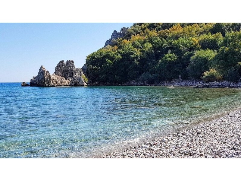 Blog Başlığı